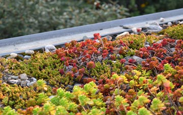 the cost of Thingwall green roof installation
